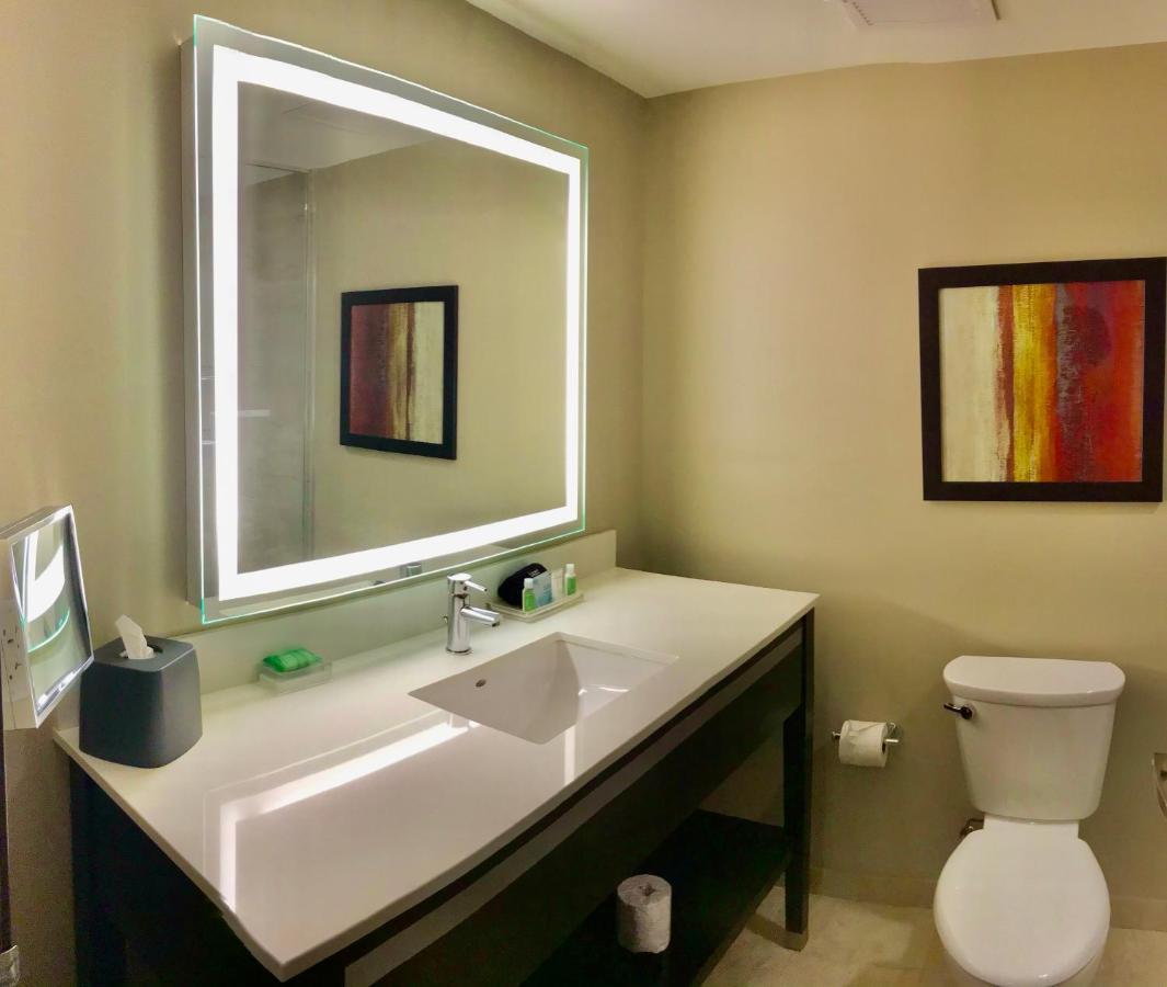 Holiday Inn Chicago Schaumburg By Ihg Екстериор снимка